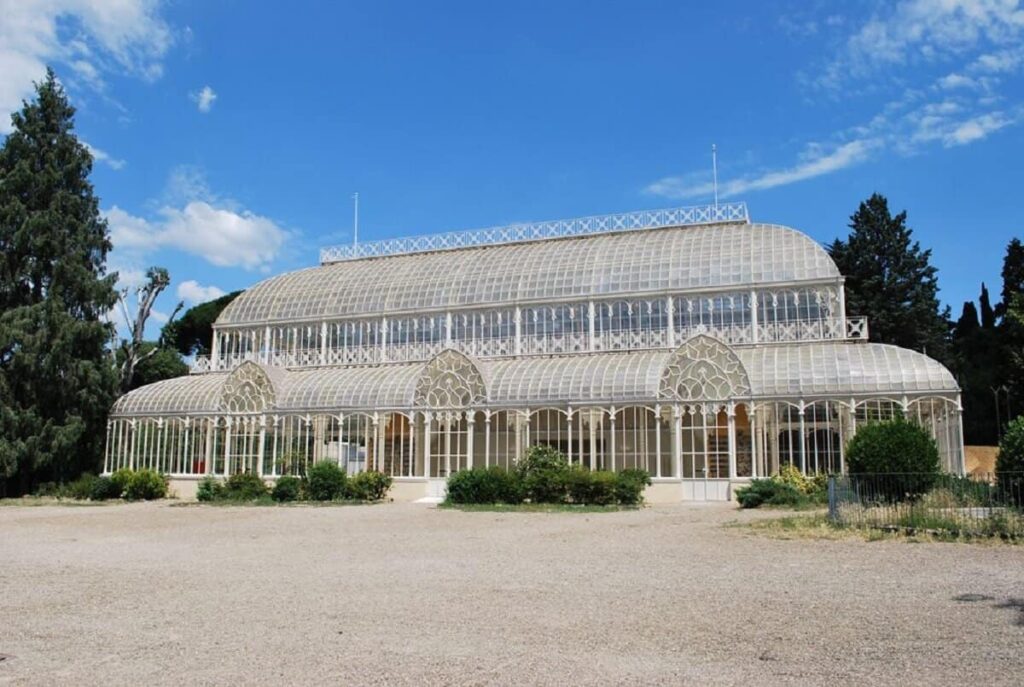 Librariesin Florence
