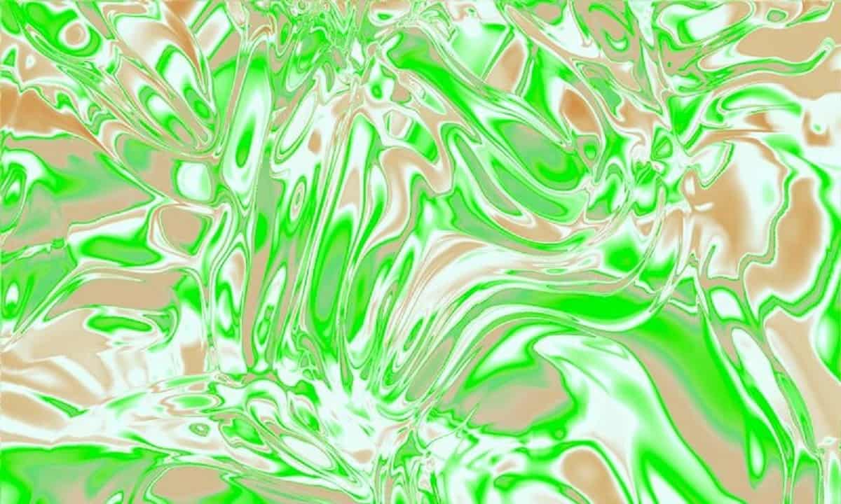 Summer activities in Florence