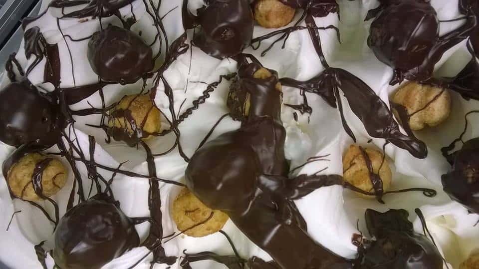 il procopio gelateria firenze